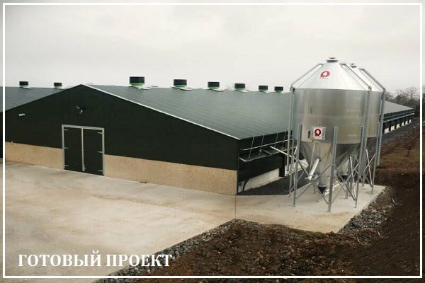 Этапы возведения птицефабрики от завода ВелесТент-ржв